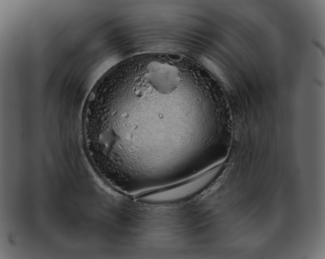 X0000093361087200710191052