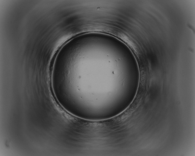 X0000093361088200710191052