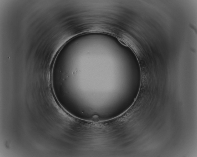 X0000093361092200710191052