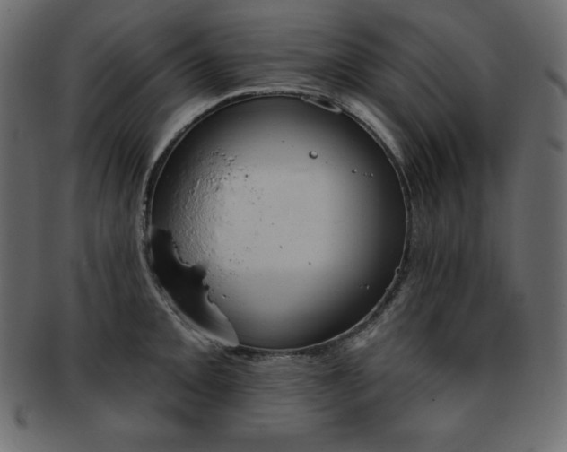 X0000093361093200710191052