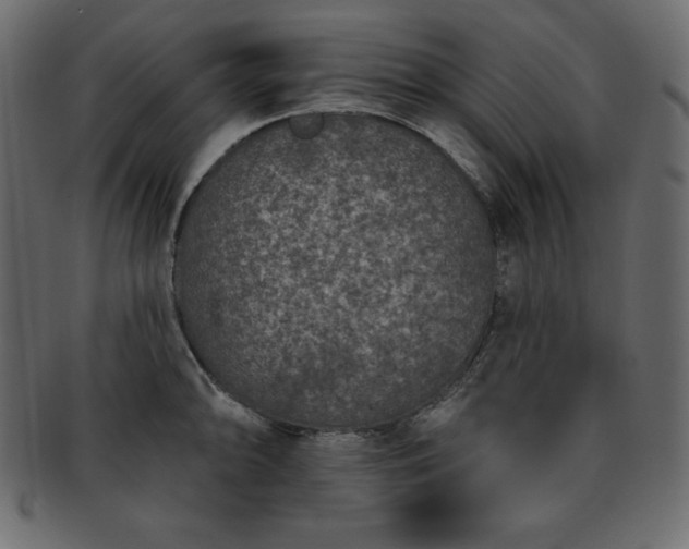 X0000093361094200710191052