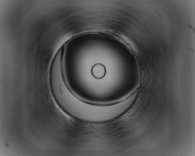 X0000093361095200710191052