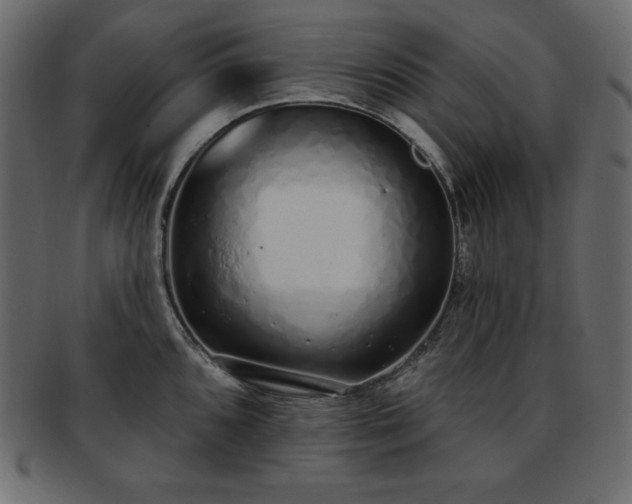 X0000093361096200710191052