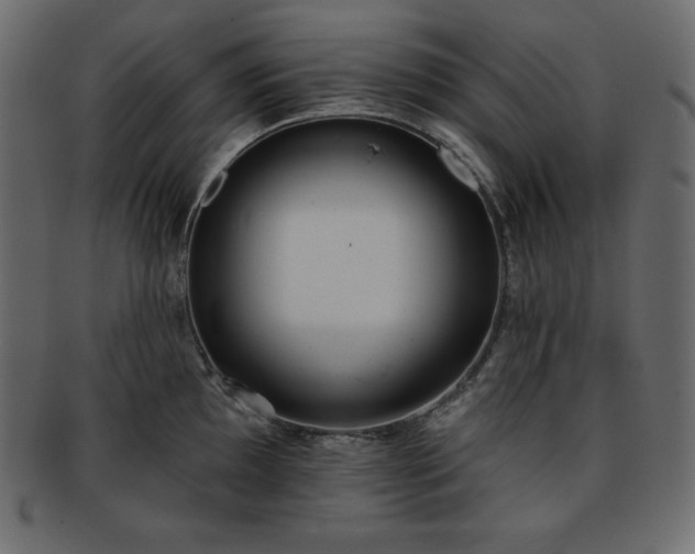 X0000093361097200710191052