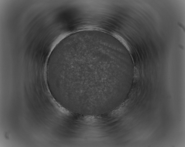 X0000093361098200710191052