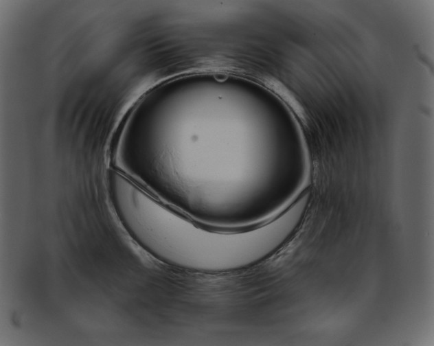 X0000093361099200710191052