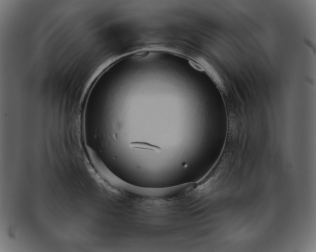 X0000093361100200710191052