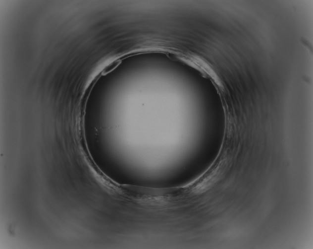 X0000093361101200710191052