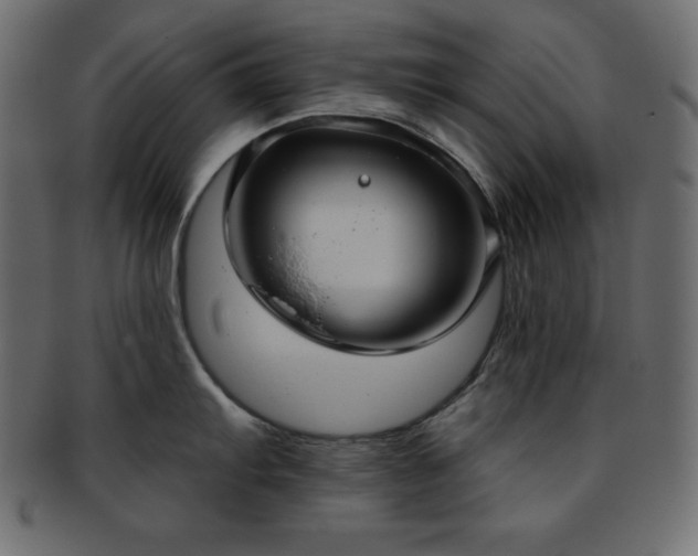 X0000093361103200710191052