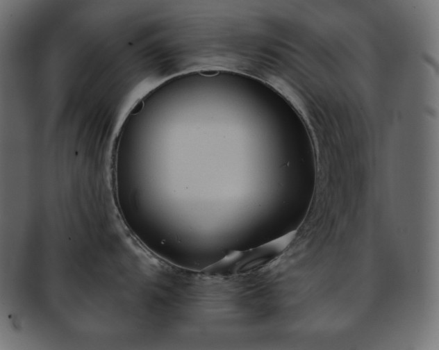 X0000093361104200710191052