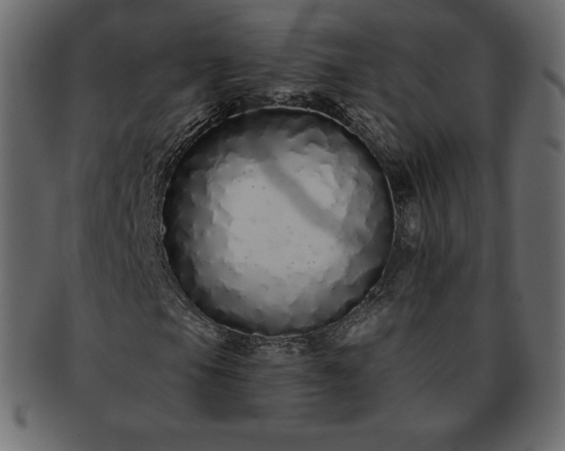 X0000093361105200710191052