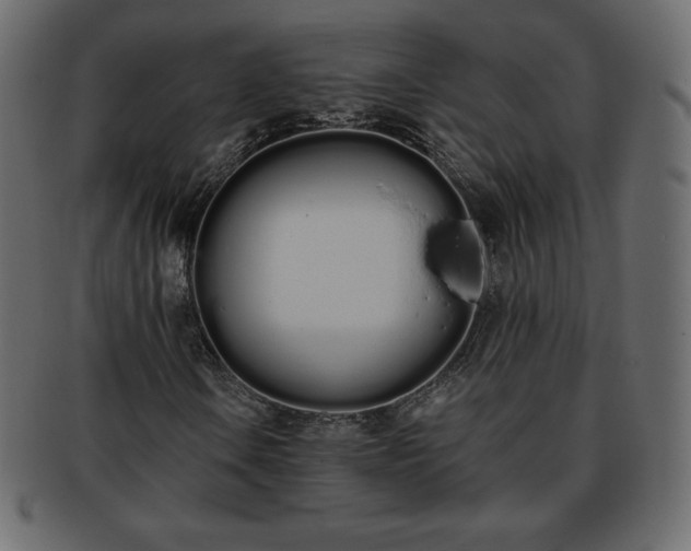 X0000093361106200710191052