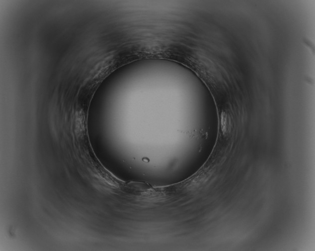 X0000093361107200710191052