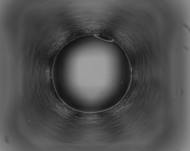 X0000093361108200710191052