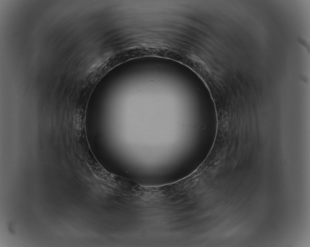 X0000093361110200710191052