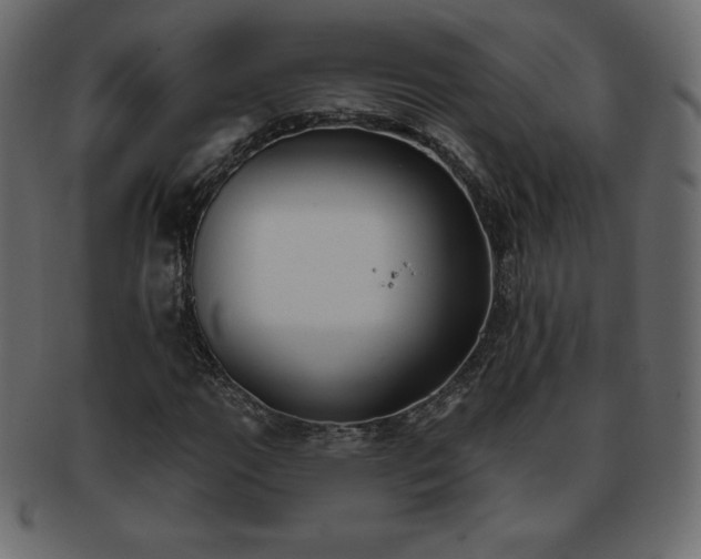X0000093361111200710191052