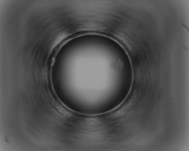 X0000093361114200710191052