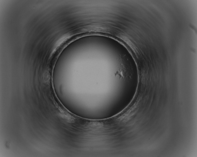 X0000093361115200710191052