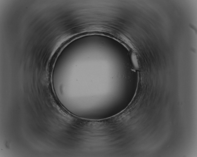 X0000093361116200710191052