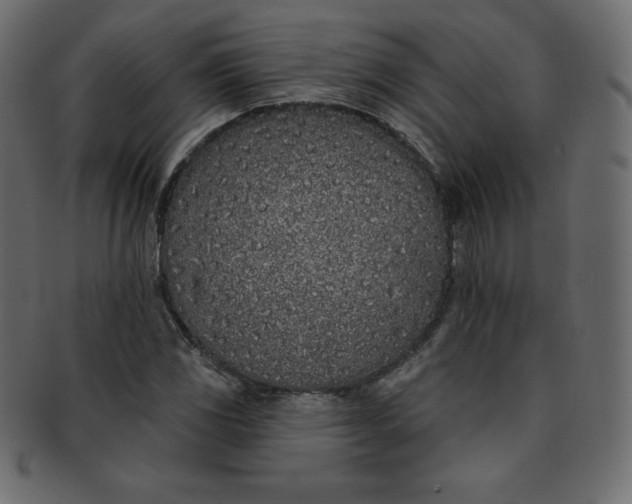 X0000093361117200710191052