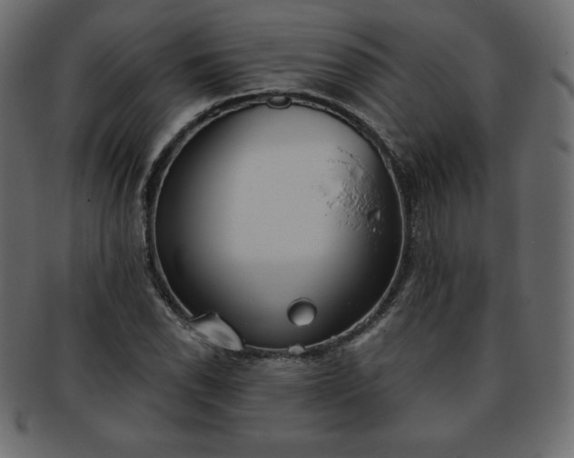 X0000093361118200710191052
