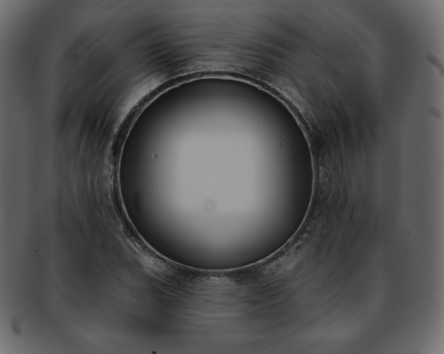 X0000093361119200710191052