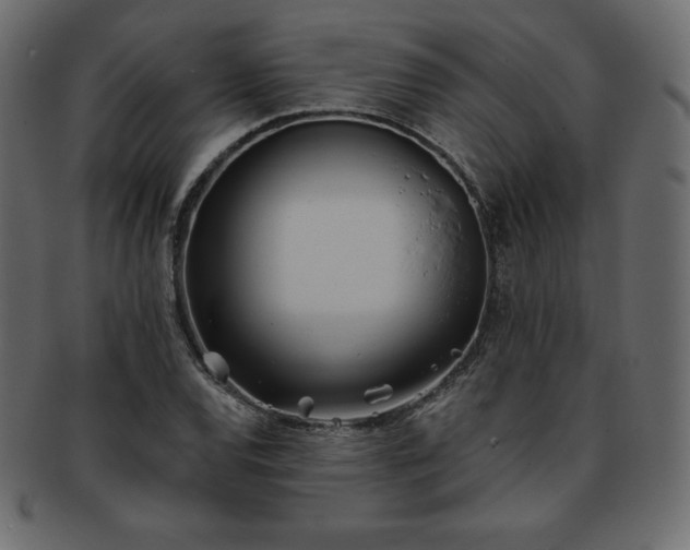 X0000093361120200710191052