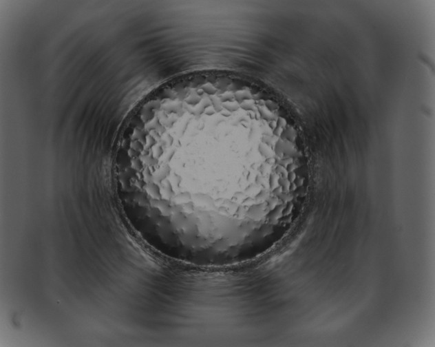 X0000093361121200710191052