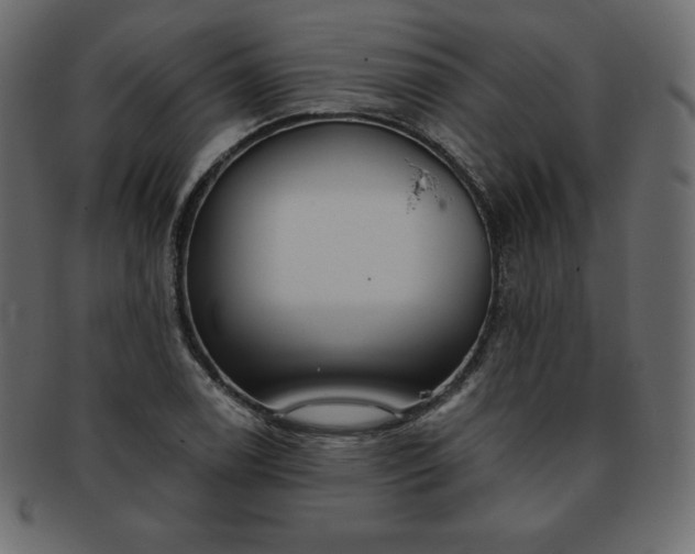 X0000093361122200710191052