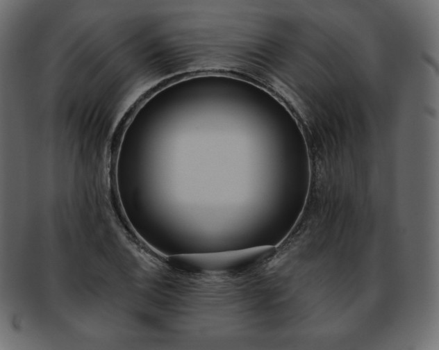 X0000093361124200710191052