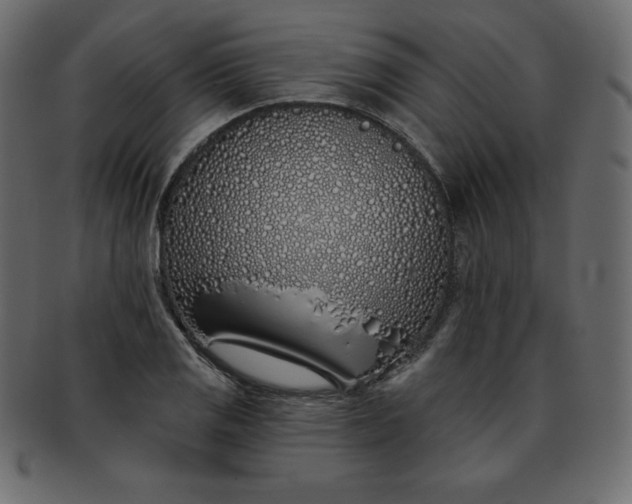 X0000093361125200710191052