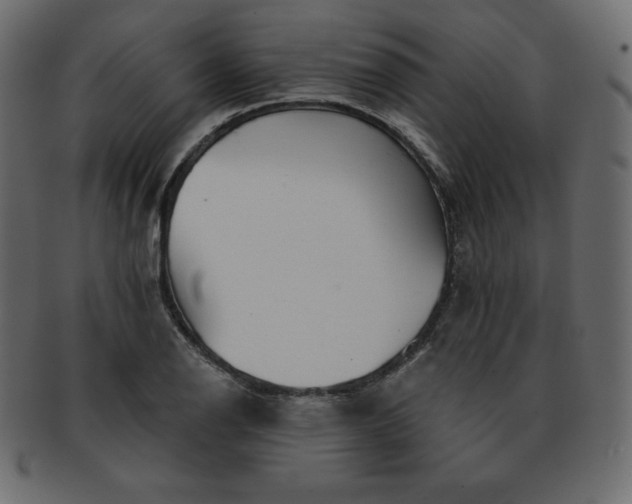X0000093361126200710191052