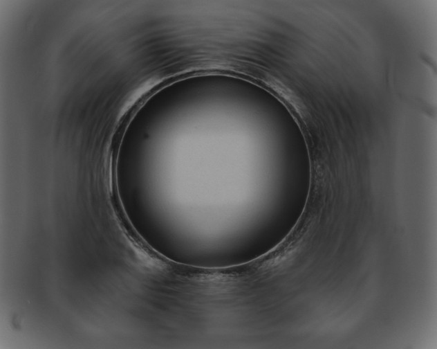 X0000093361127200710191052