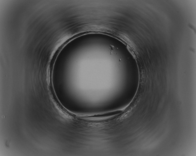 X0000093361128200710191052