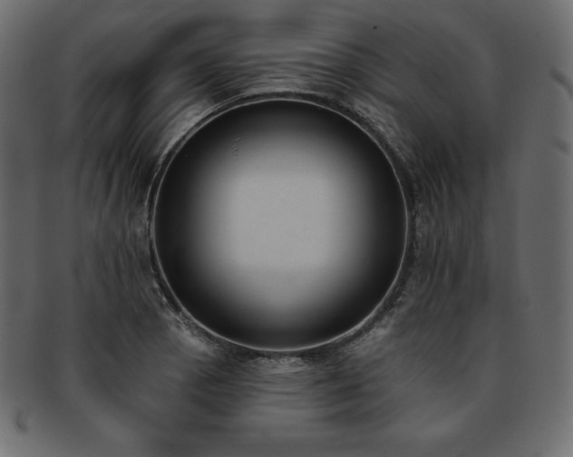 X0000093361129200710191052