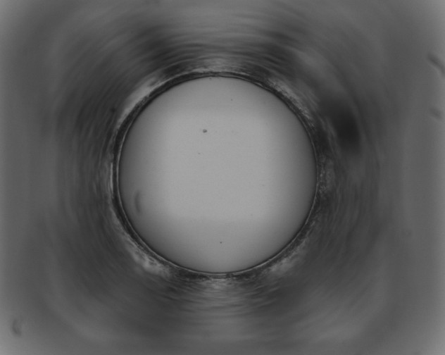 X0000093361130200710191052