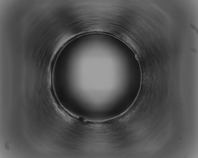 X0000093361132200710191052