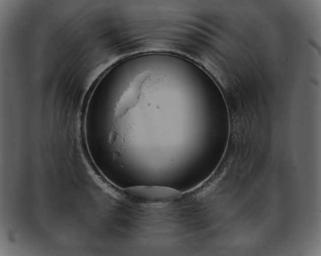 X0000093361134200710191052