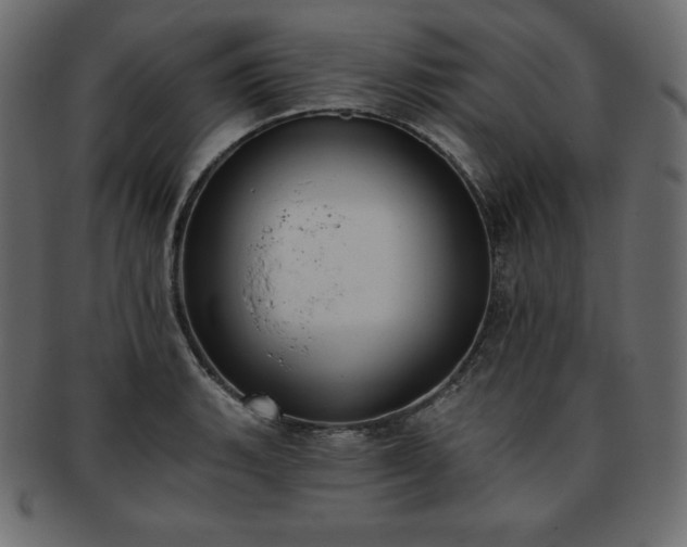 X0000093361135200710191052