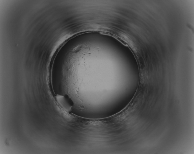 X0000093361136200710191052