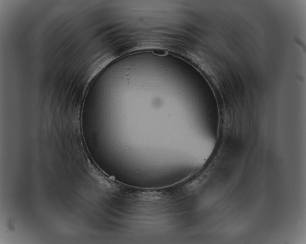 X0000093361137200710191052