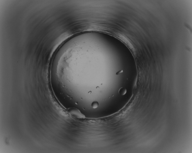 X0000093361138200710191052