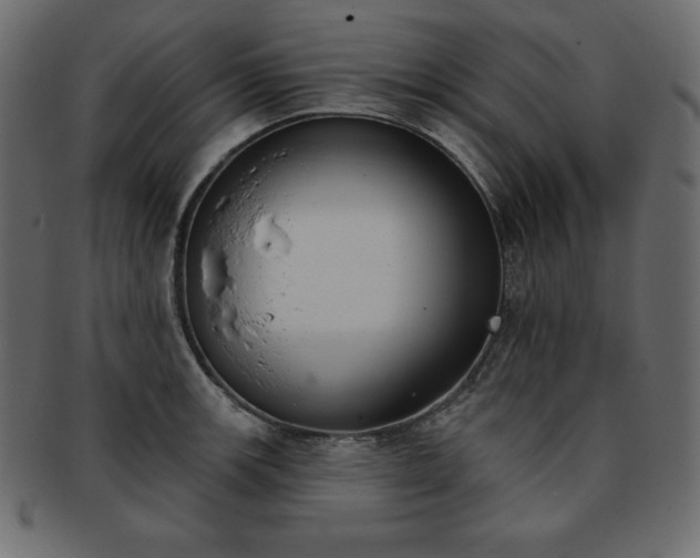 X0000093361139200710191052