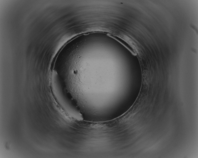 X0000093361140200710191052