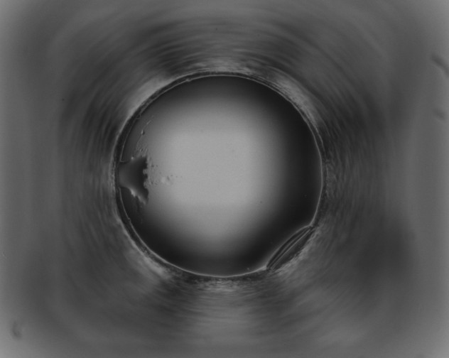 X0000093361141200710191052