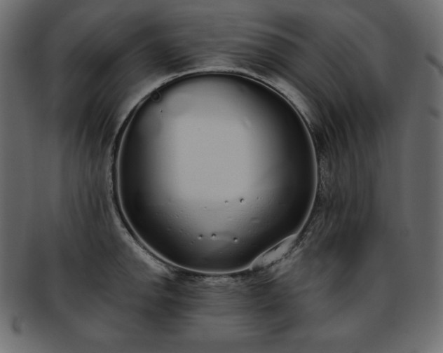 X0000093361142200710191052