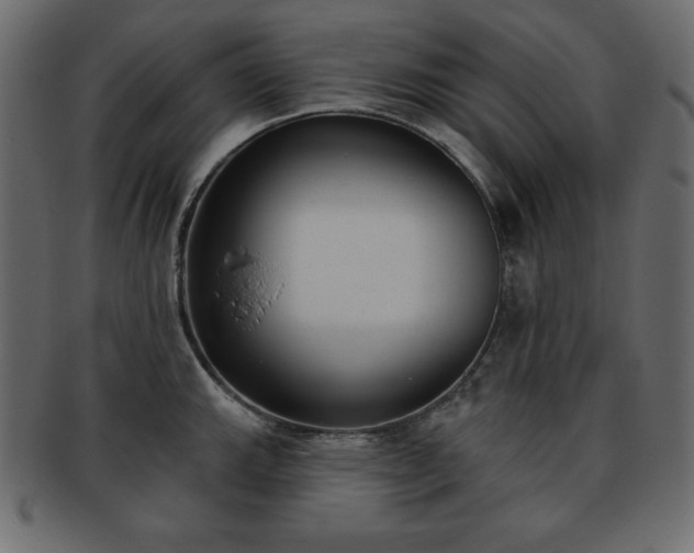 X0000093361143200710191052