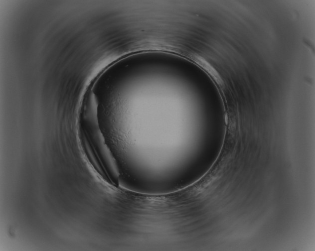 X0000093361144200710191052