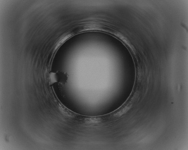 X0000093361145200710191052
