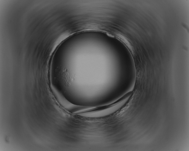 X0000093361146200710191052